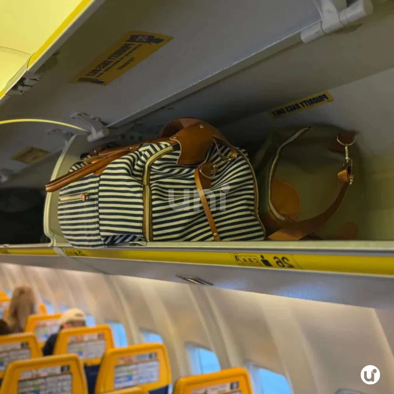 Mala de Mão Listrada Espaçosa Dobrável 60L Roller JetSetFemme™