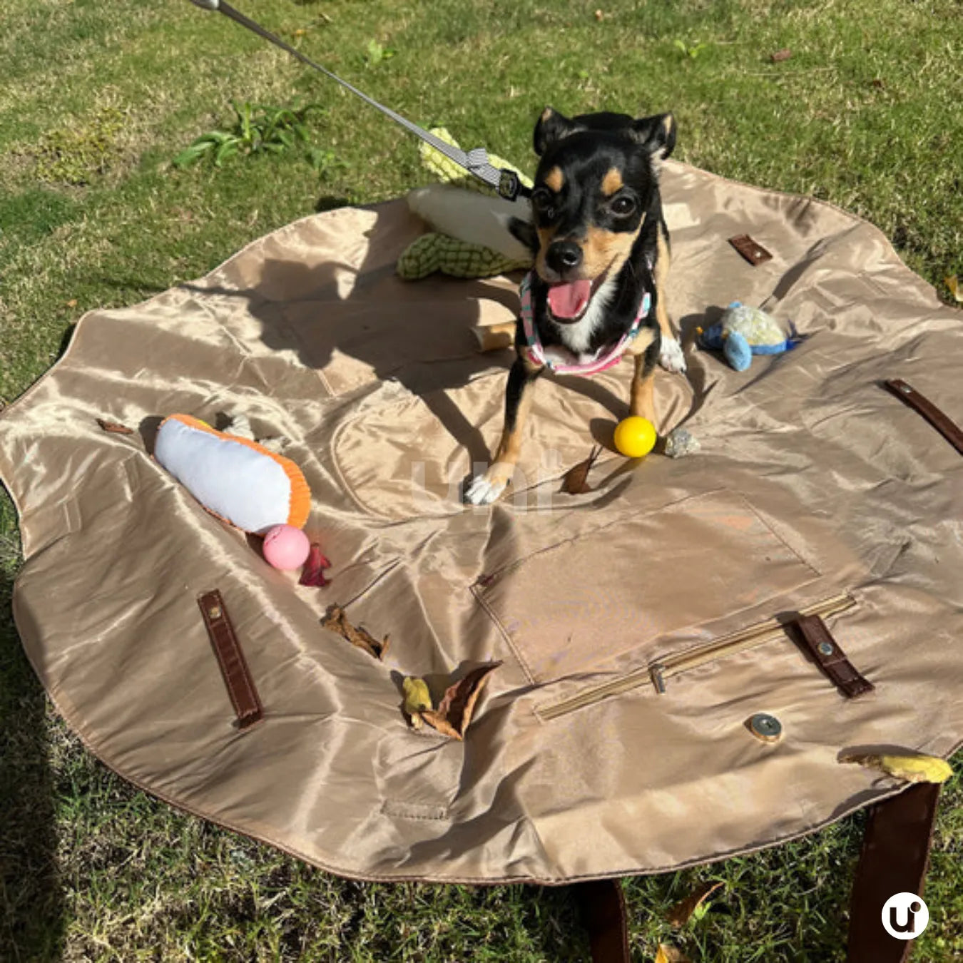 Bolsa Dobrável 2em1 Impermeável: Vira Manta de Praia, Viagem & Piquenique - TOTED®